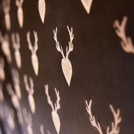 Berghupferl דירה *